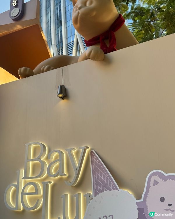 ✨深圳灣萬象城貓貓靚靚聖誕裝✨