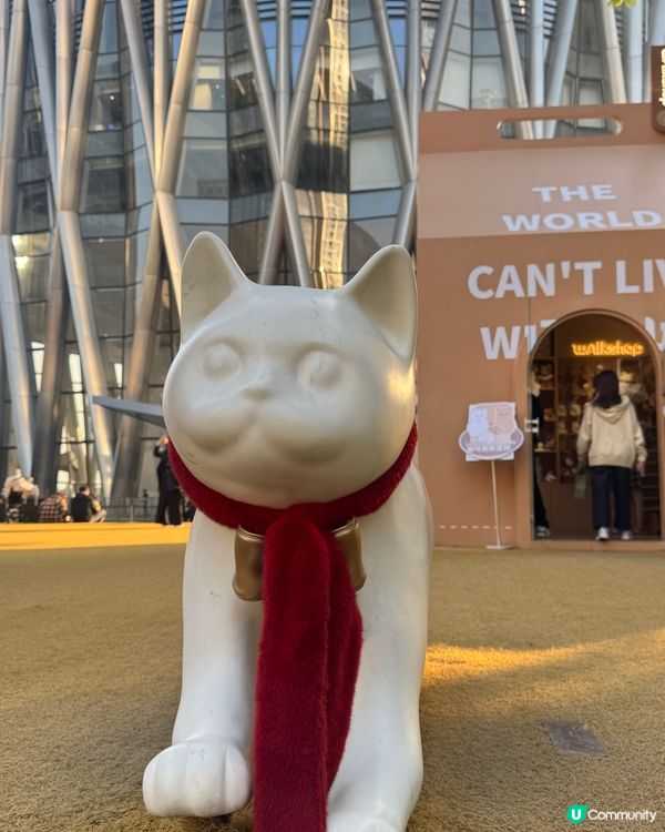 ✨深圳灣萬象城貓貓靚靚聖誕裝✨