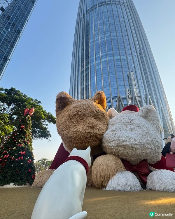 ✨深圳灣萬象城貓貓靚靚聖誕裝✨