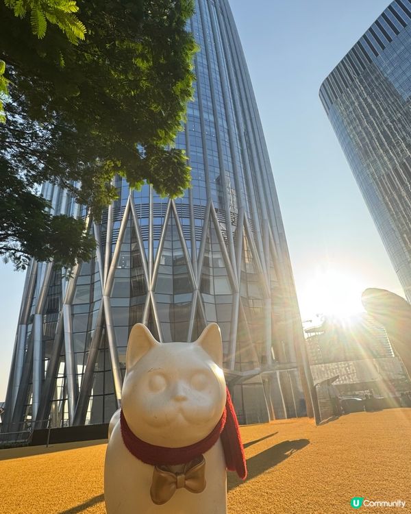 ✨深圳灣萬象城貓貓靚靚聖誕裝✨