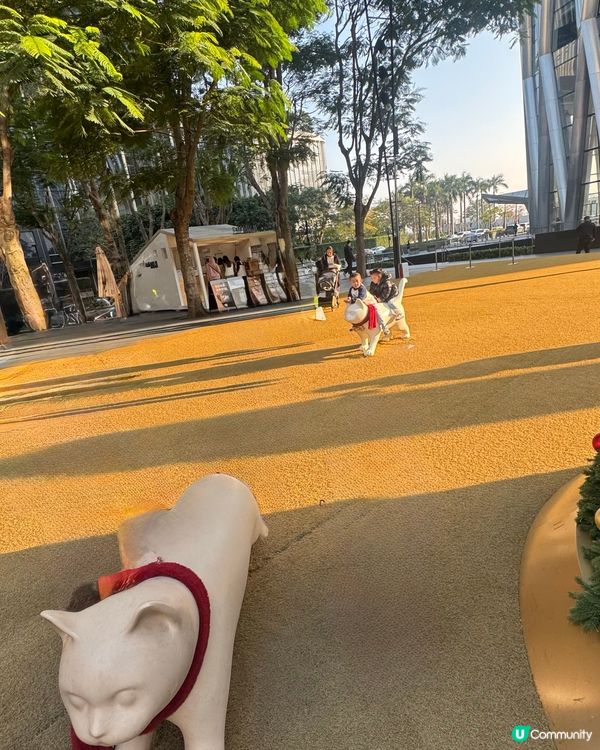 ✨深圳灣萬象城貓貓靚靚聖誕裝✨