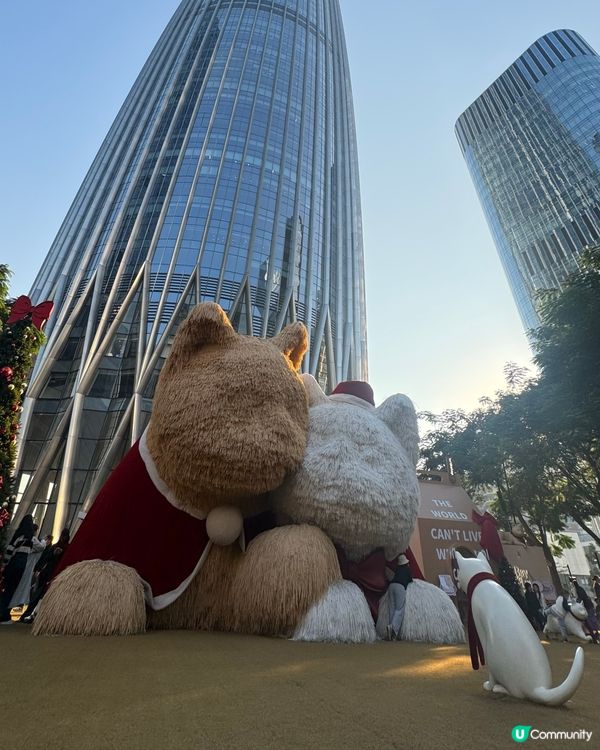 ✨深圳灣萬象城貓貓靚靚聖誕裝✨