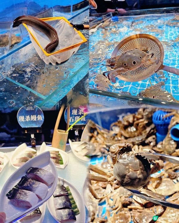 📍深圳必吃! 🦞海鮮自助新天花板~山海蒸汽活海鮮榴槤自助