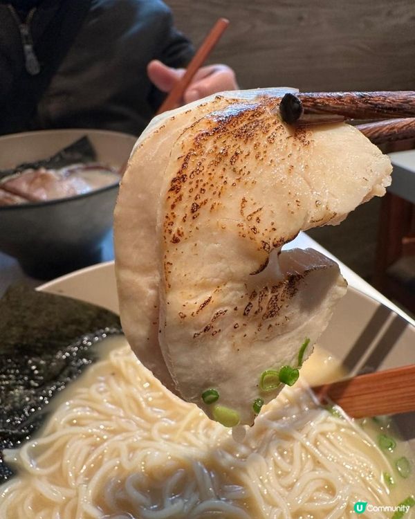 每日限定雞白湯拉麵🍜