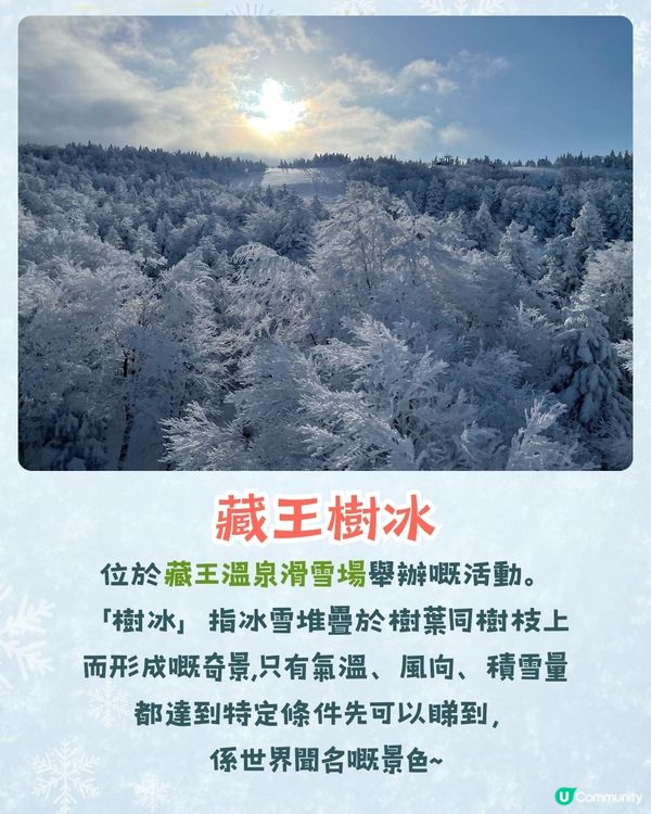 2025日本4大雪祭推介❄️日本第一雪祭/浪漫雪燈之路/ 樹冰森林📅附活動日期