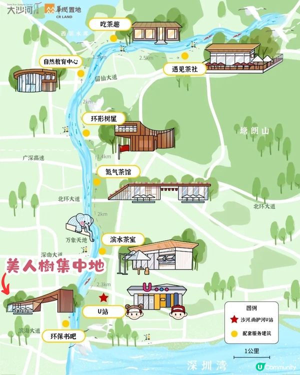 深圳美人樹長廊公園🌸最後召集‼️13.7公里深圳「塞納河」仲有紫花風鈴木/三角梅😍