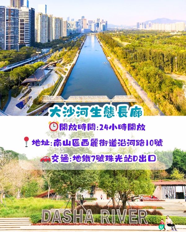 深圳美人樹長廊公園🌸最後召集‼️13.7公里深圳「塞納河」仲有紫花風鈴木/三角梅😍