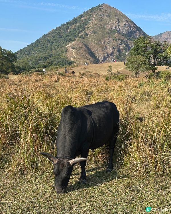 寒冷天氣警告⚠️昂平露營體驗