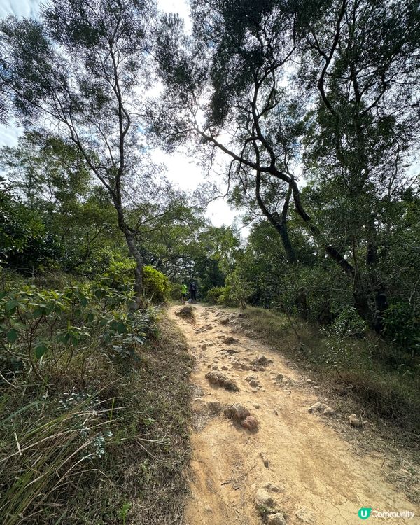 寒冷天氣警告⚠️昂平露營體驗