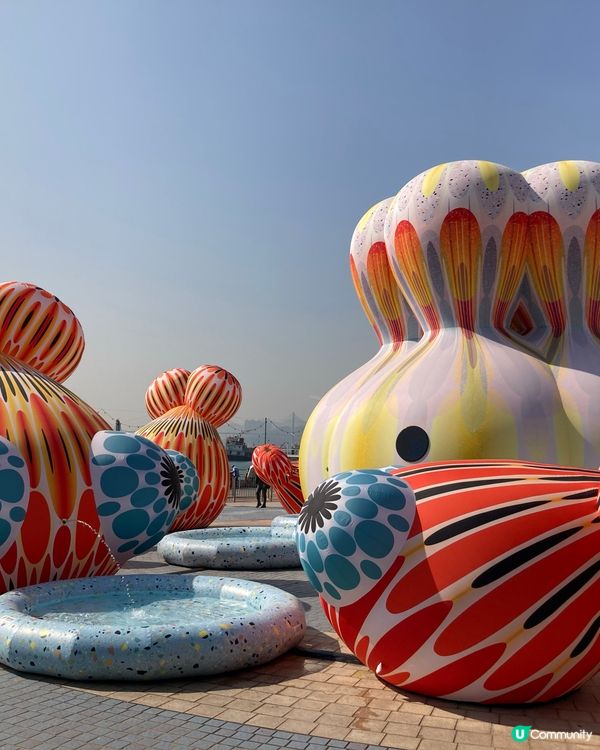 ## 荃灣公園藝術展，澳洲幸福來港！🌊🎨