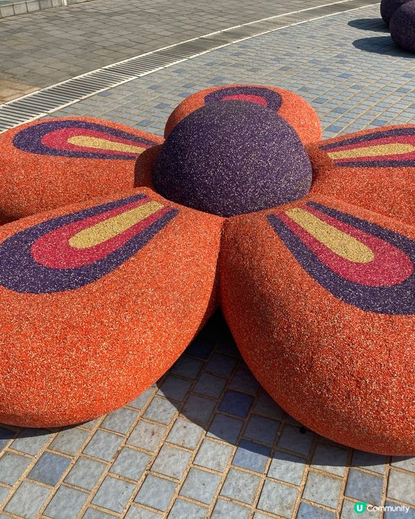 ## 荃灣公園藝術展，澳洲幸福來港！🌊🎨