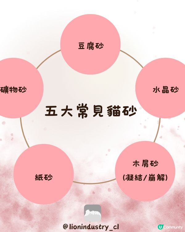 到底有幾多種貓砂🐈