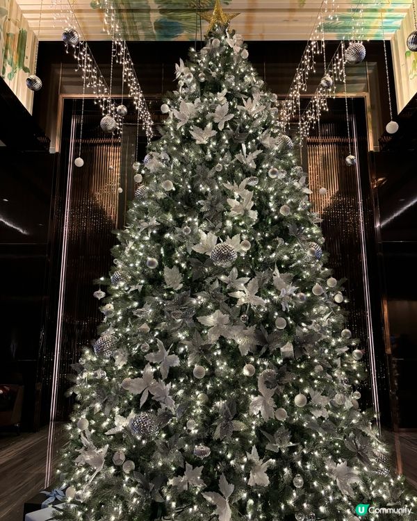 香港聖誕樹合集🎄✨