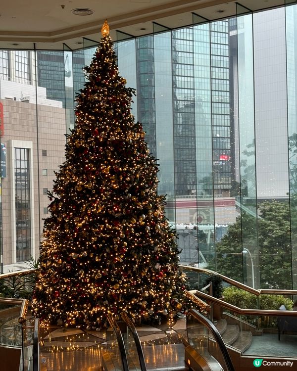 香港聖誕樹合集🎄✨