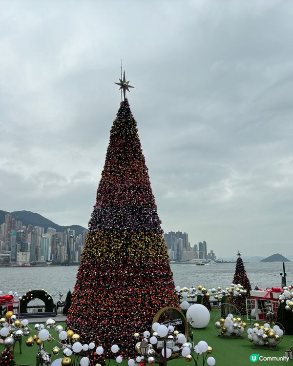 香港聖誕樹合集🎄✨