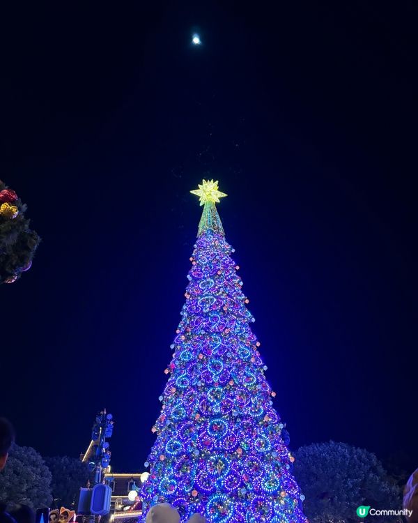 香港聖誕樹合集🎄✨