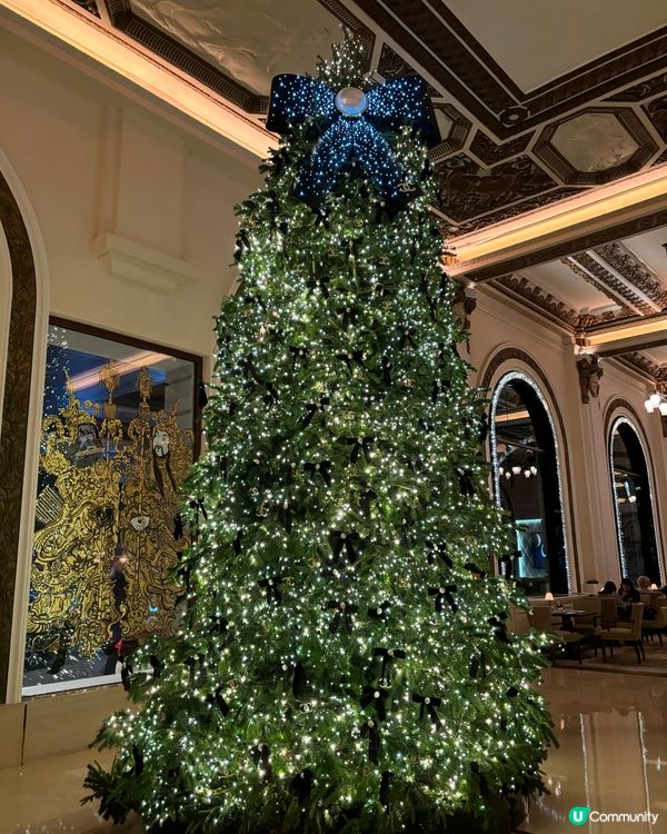 香港聖誕樹合集🎄✨