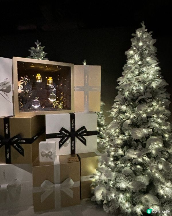 香港聖誕樹合集🎄✨