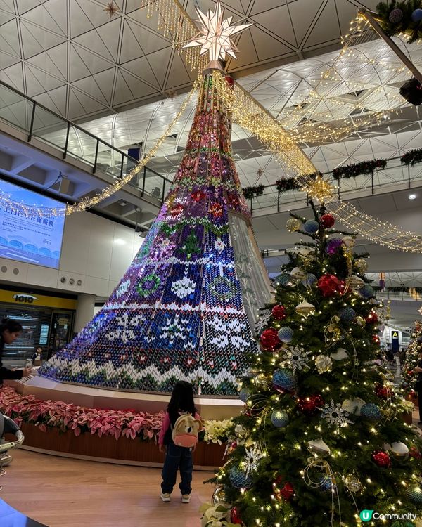 香港聖誕樹合集🎄✨