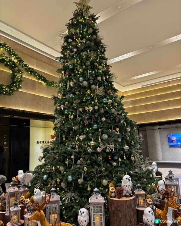 香港聖誕樹合集🎄✨