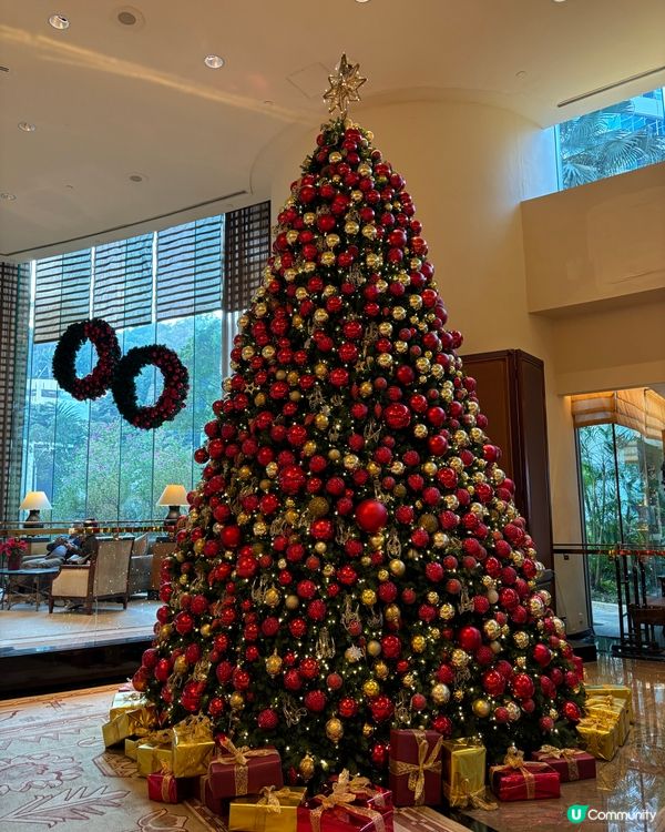 香港聖誕樹合集🎄✨