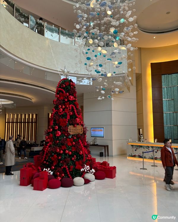 香港聖誕樹合集🎄✨