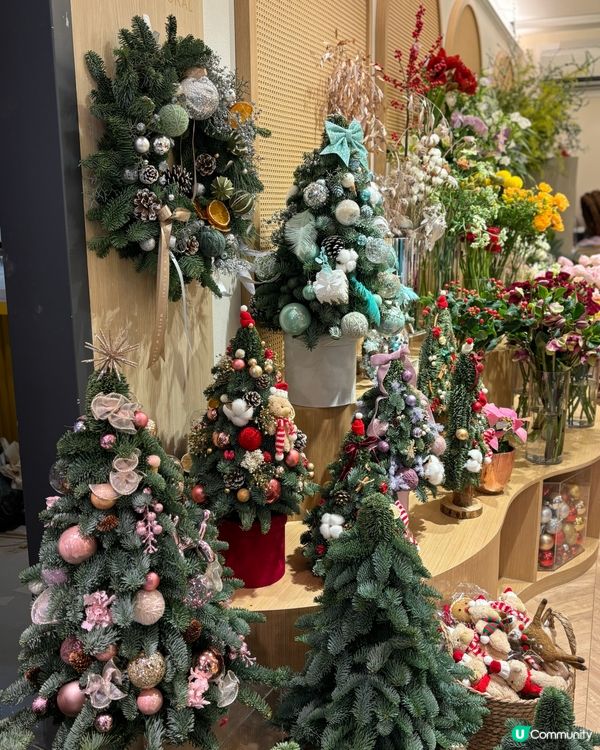 香港聖誕樹合集🎄✨