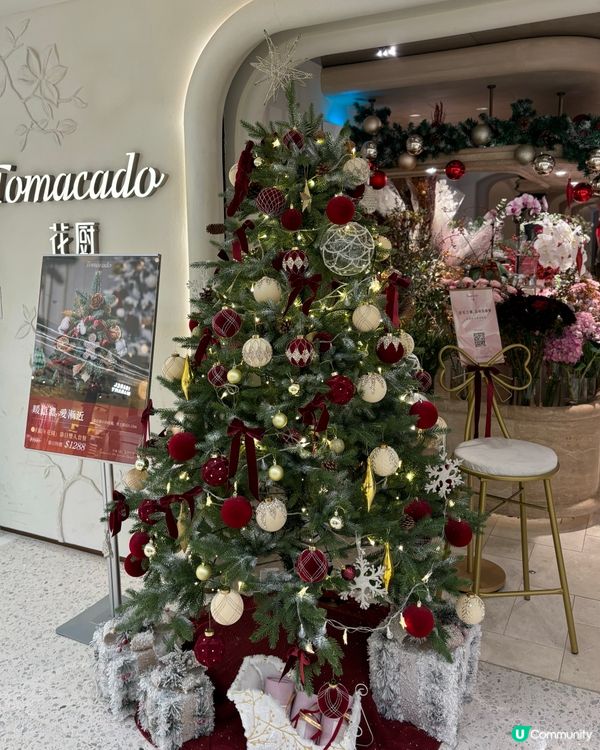 香港聖誕樹合集🎄✨