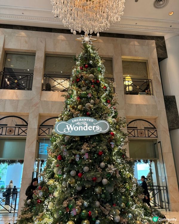 香港聖誕樹合集🎄✨