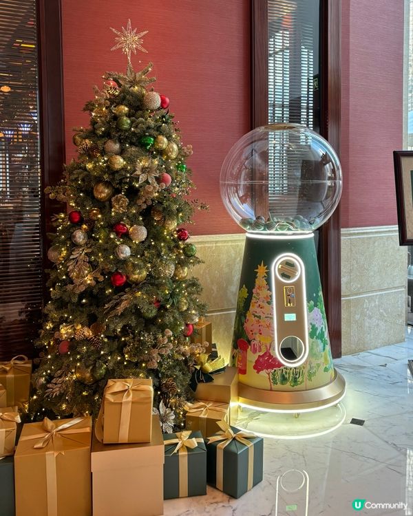 香港聖誕樹合集🎄✨