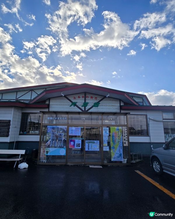 大館市秋田犬溫泉旅館