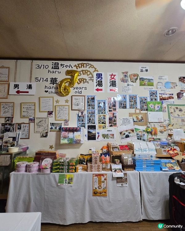 大館市秋田犬溫泉旅館