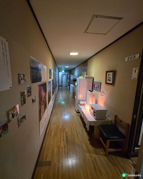 大館市秋田犬溫泉旅館