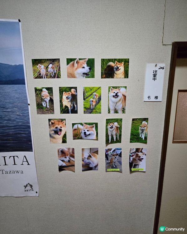 大館市秋田犬溫泉旅館