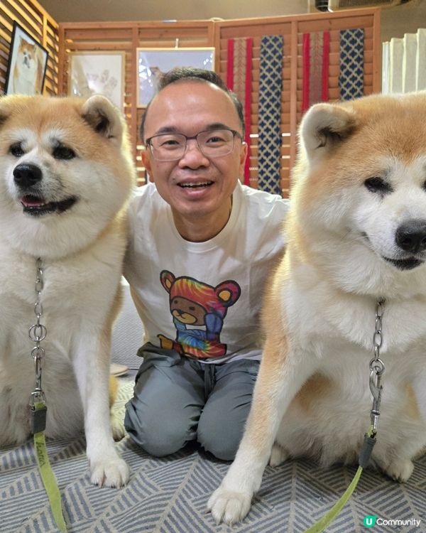 大館市秋田犬溫泉旅館