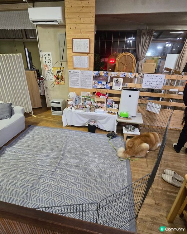 大館市秋田犬溫泉旅館