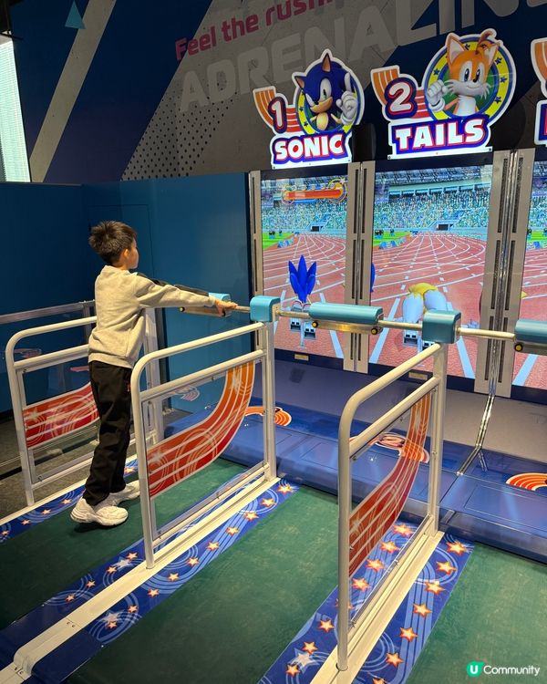 【 一齊進入Sonic 超音鼠的遊戲世界 】