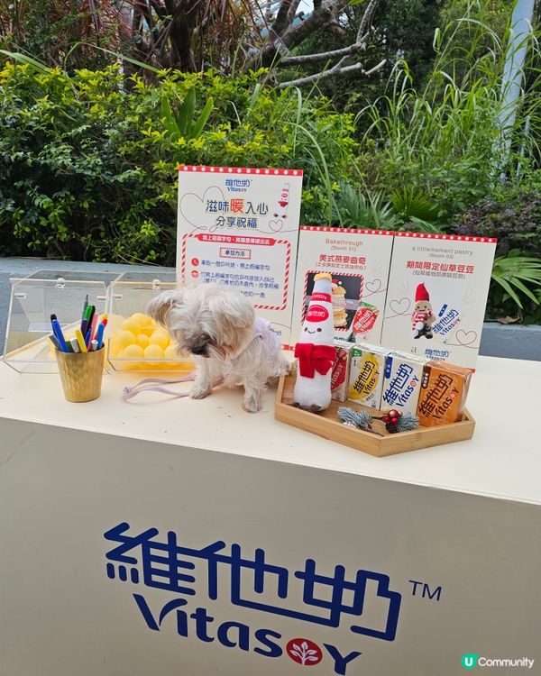 赤柱聖誕市集，維他奶同你分享暖意！