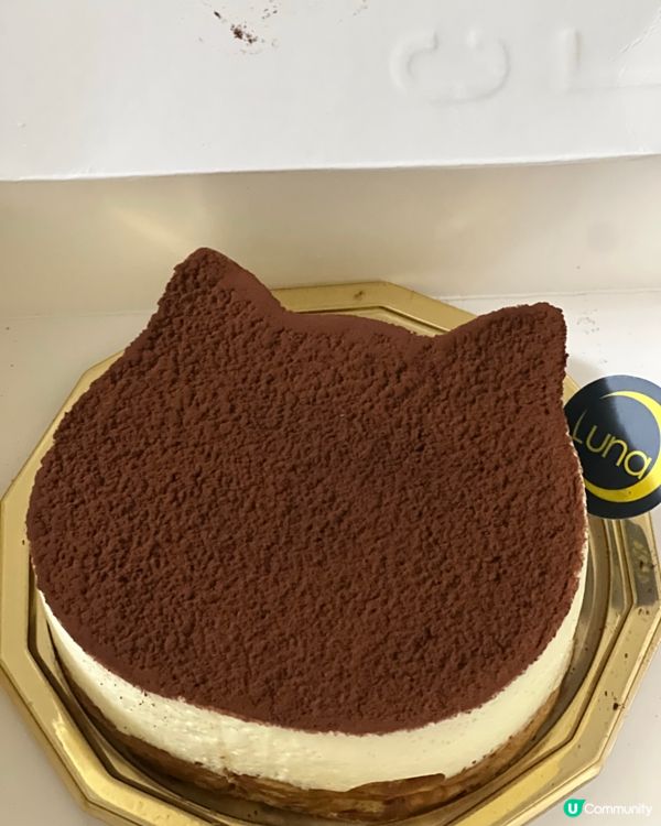 🩷冬日限定🐱 極推介Tiramisu巴斯克芝士蛋糕😋