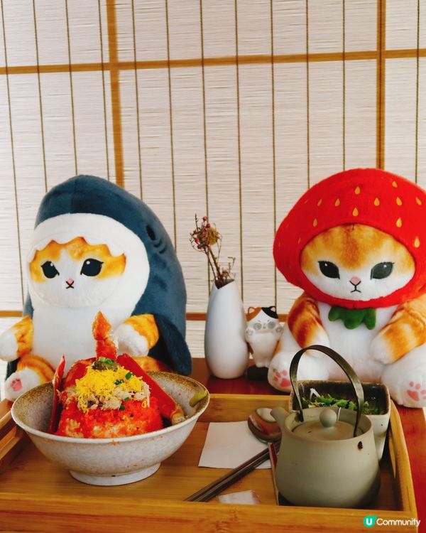 🎄大圍聖誕限定冬日美食大搜查！😋