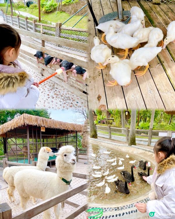 推介珠海‼️親子度假首選‼️