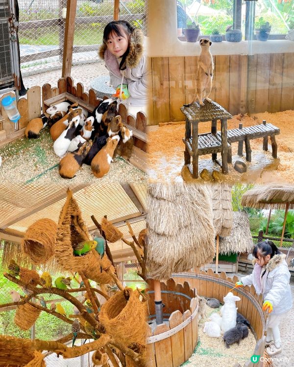 推介珠海‼️親子度假首選‼️