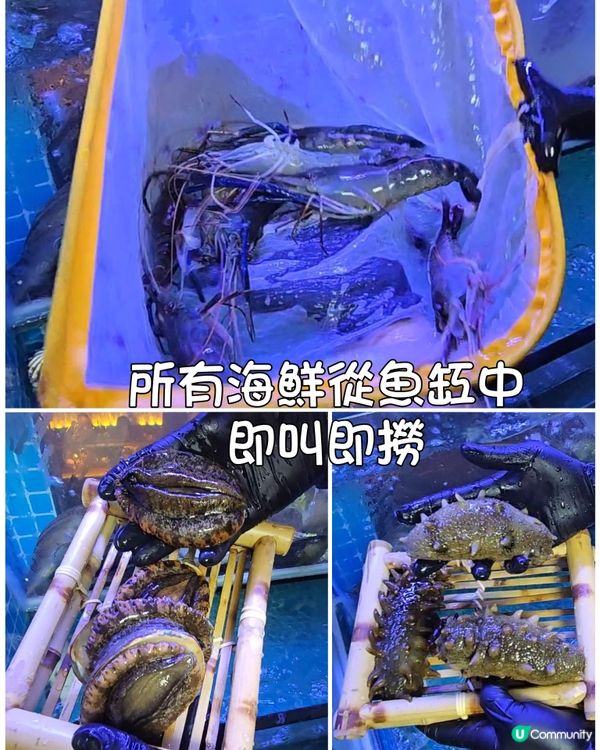 深圳必食🔥鮑魚雞活海鮮鍋🍲
