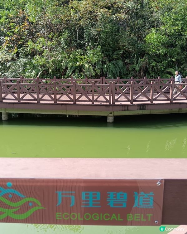 都市中的綠洲～珠海香山湖公園