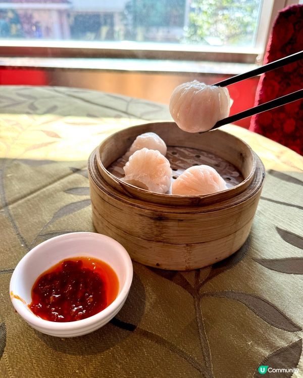 【#石門茶樓 午市點心.星海薈】