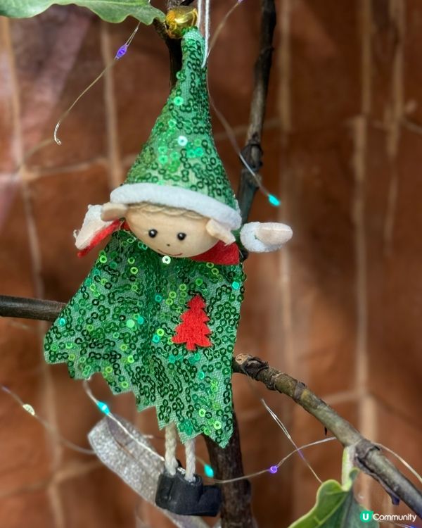 天后必試！乳酪雪糕體驗🍦😋開心果新口味！