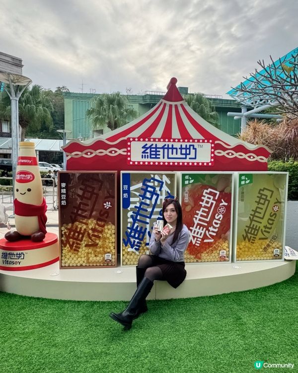 赤柱聖誕市集打卡🎄維他奶暖笠笠星空瓶工作坊🤩