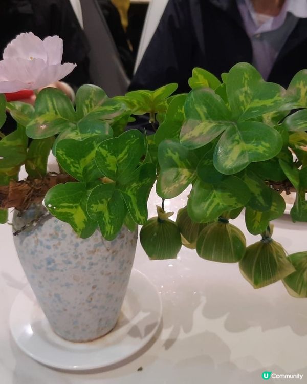 蓮塘口岸唯一的酒樓