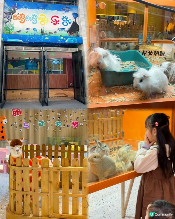 😍近近地嚟個快閃staycation😍