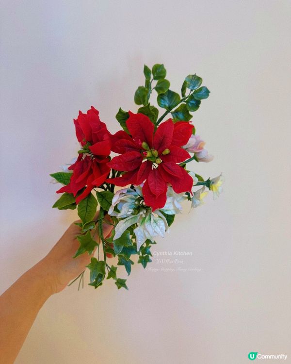 氣氛滿滿的聖誕花不僅充滿活力和歡樂｡鮮豔的聖誕花象徵著節慶的...